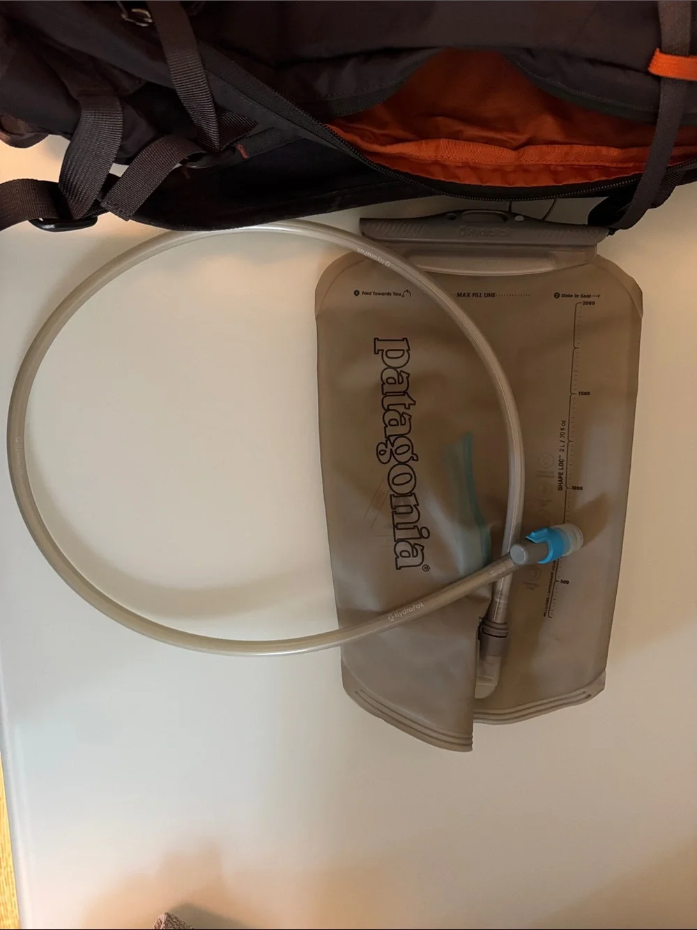 Patagonia Black Backpack with Orange Logo and Accents